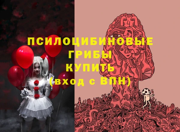 амф Белоозёрский