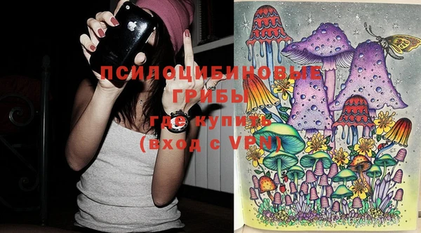 бутират Белокуриха
